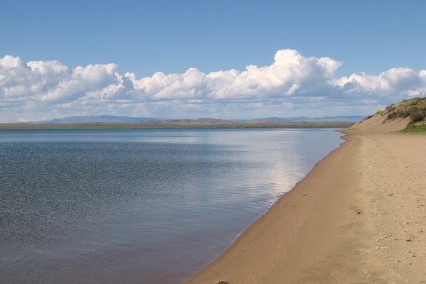 Кракен торговая площадка даркнет